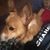 Carol Hershberger-Rohrscheib Gregory's profile image