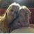 Lisa Abbott Bagnall's profile image