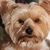 Lisa Amick Mowbray's profile image