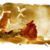Marie Tibbetts's profile image