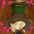 Raimondo Garcia's profile image