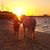 Denise Howerton's profile image