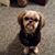Darenda Webb's profile image
