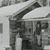 Vicki Scardina Bibeau's profile image