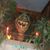 Linda Wilson Wolf's profile image