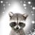 Jason Downes's profile image