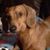 Connie Wolf's profile image