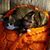 Notary Tim Gatewood's profile image