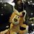 DannyNina Sanchez's profile image