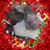 Andrea Guardigni's profile image