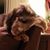 Lisa Marie Dedline's profile image