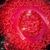 Arasida Sali's profile image