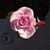 Joyce Olson-Burpee's profile image