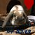 Patricia Sullivan's profile image
