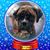 Annette Kohan's profile image