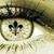 Rachel Poirrier Kapp's profile image