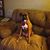 Connie Higginbotham's profile image