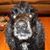 David Huffine's profile image