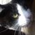 Daniel Wnorowski's profile image