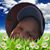 Steven Joseph Theall Jr.'s profile image