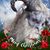 Michele Clauser's profile image