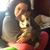 Cyndi Anne's profile image