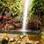 Lena Saraiva Fernandes's profile image