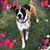 Connie Riedel Herrmann's profile image