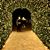 Alicia Guizar's profile image