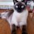 Cecilia Ybarra Lopez's profile image