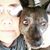Martine Bustamante's profile image