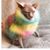 Aprile Vaughn's profile image