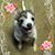 Tabatha Nickole's profile image