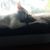 Sharon Payette's profile image