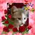 Sheila Hammonds's profile image