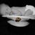Jim Launonen's profile image
