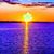 Judy Throop's profile image