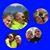 Jeff Rollins's profile image