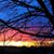 Rachel Beldo Smith's profile image