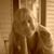 Jane E. Meadows's profile image