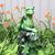 Lyn Ethier's profile image