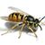 Rhonda Wright's profile image