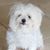 Karen Welch Malmquist's profile image