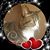 Amanda Bortman's profile image