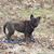 Linda Pleasants's profile image
