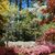 Carol Llewellyn's profile image