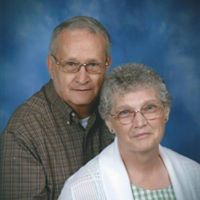 Donna Faddis's profile image