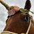 Mary Mell's profile image