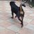Bori Ani Bori's profile image