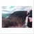 Lorenzo Holmes Jr.'s profile image